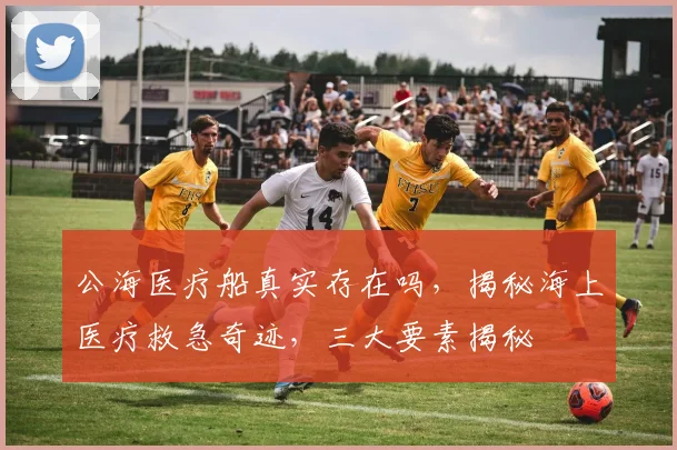 公海医疗船真实存在吗，揭秘海上医疗救急奇迹，三大要素揭秘