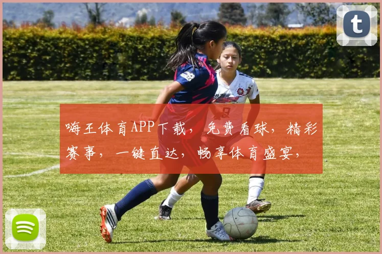 嗨王体育APP下载，免费看球，精彩赛事，一键直达，畅享体育盛宴，不容错过