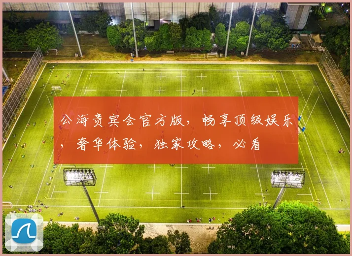 公海贵宾会官方版，畅享顶级娱乐，奢华体验，独家攻略，必看