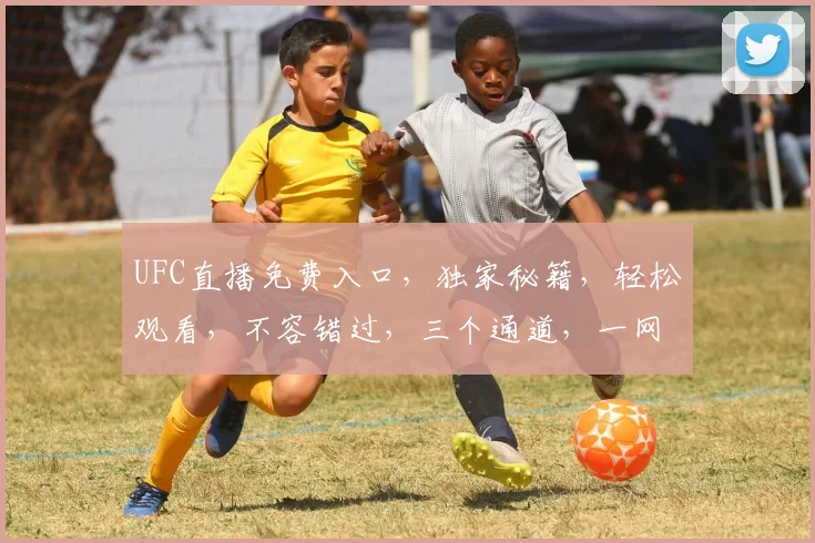 UFC直播免费入口，独家秘籍，轻松观看，不容错过，三个通道，一网打尽