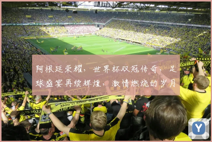 阿根廷荣耀，世界杯双冠传奇，足球盛宴再续辉煌，激情燃烧的岁月