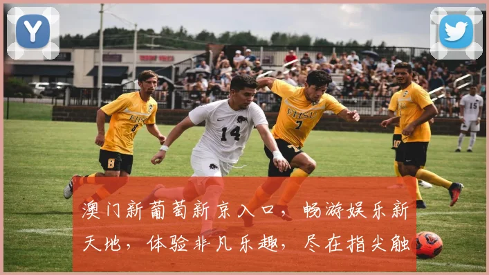 澳门新葡萄新京入口，畅游娱乐新天地，体验非凡乐趣，尽在指尖触达